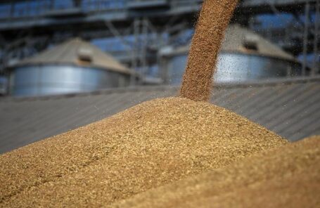 Российские экспортеры зерна хотят перейти на оплату в рублях