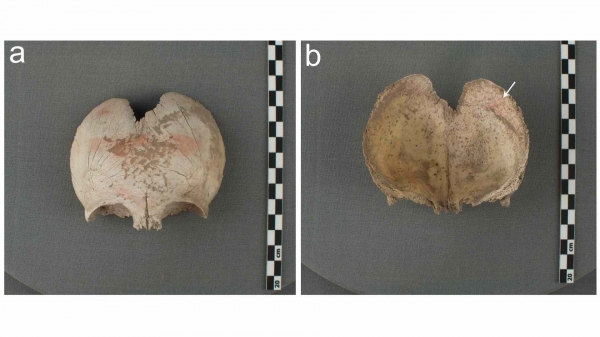 Ученые узнали, зачем перуанцы раскрашивали черепа